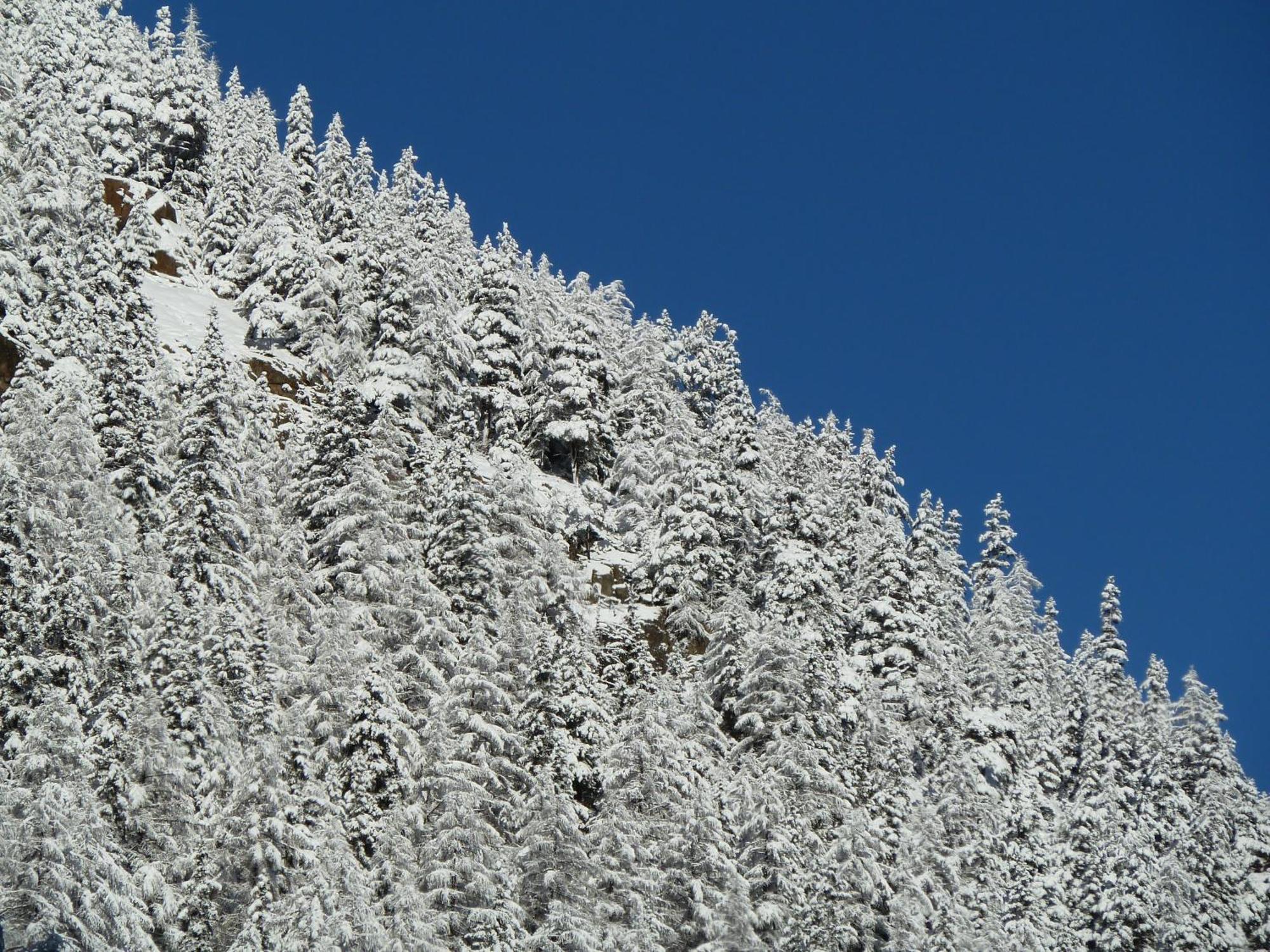 Appartement Gurgl Obergurgl Buitenkant foto